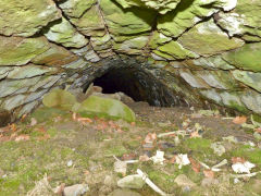 Level South of the British Ironworks dam, June 2008